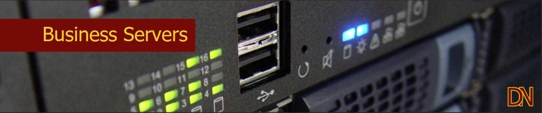 DNCS Business Server